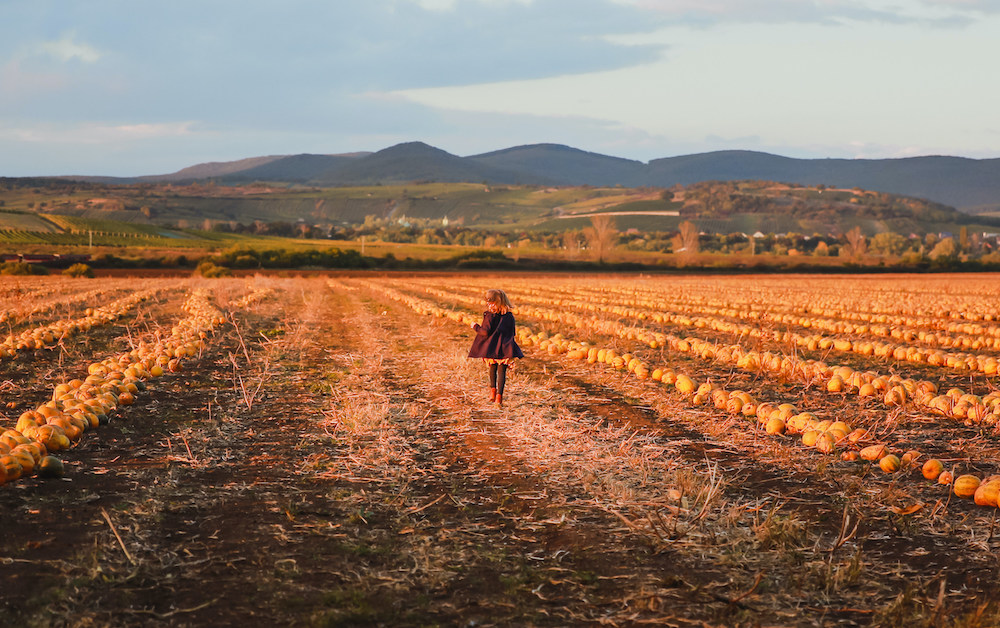 Fall Getaways U.S.