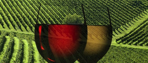 Sonoma Wine Country tastings