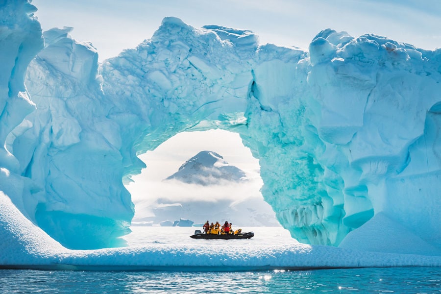Quark Arctic