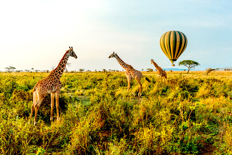 Private Jet Experience Four Seasons Africa