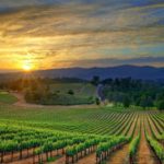 Sonoma wine Country