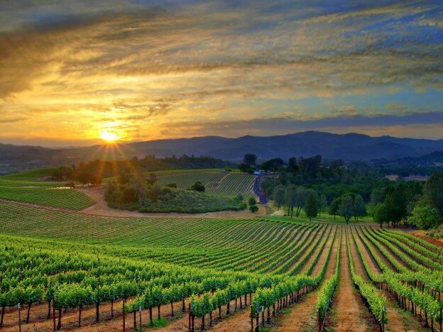 Sonoma wine Country
