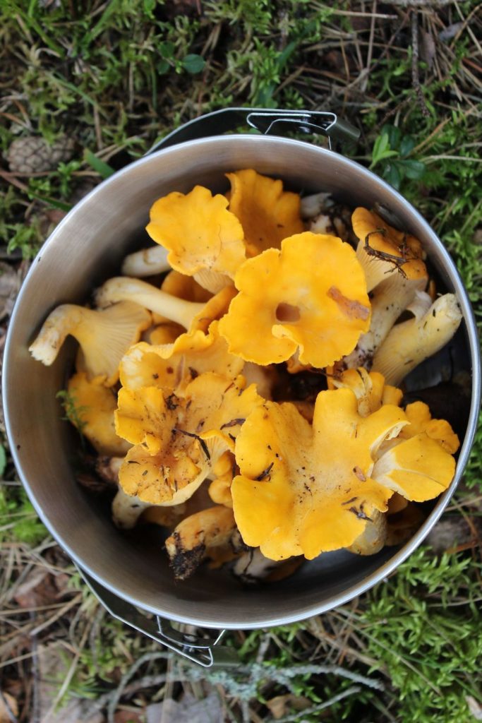 Lithuania and Facts about Lithiania