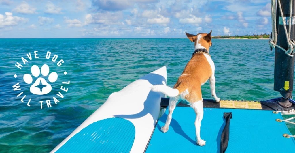 Caribbean vacation with pets