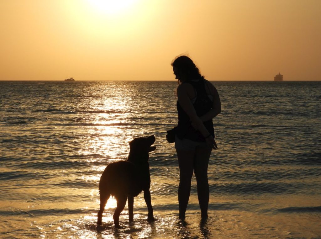 Caribbean Vacation with Pets