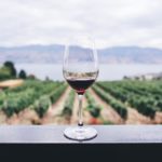 Wine Festival in Sonoma