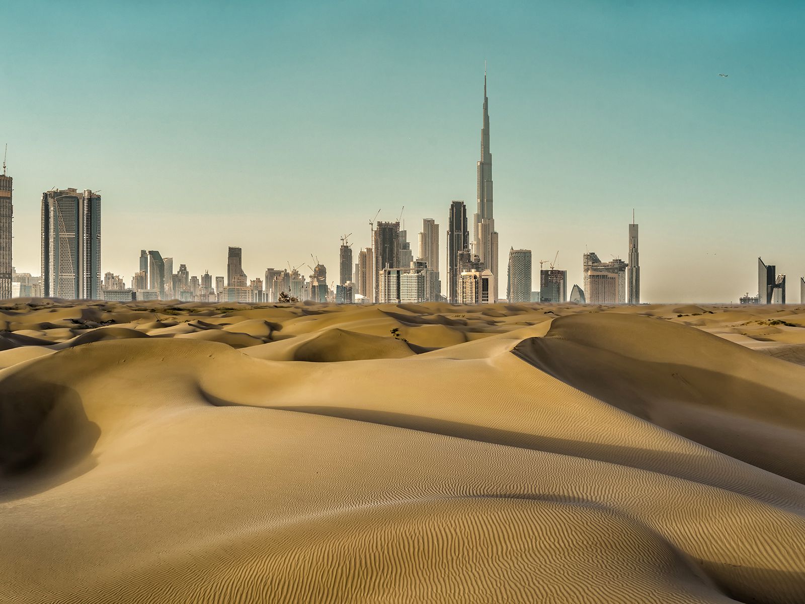 Travel to Dubai