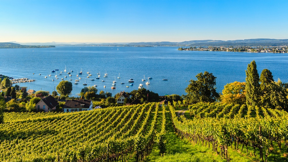 Travel to Germany Wine region Lake Constance