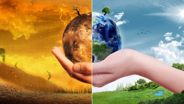 Eco travel and WTTC