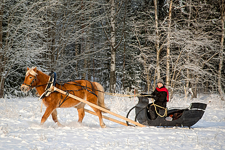 Winter Getaways Sleighride