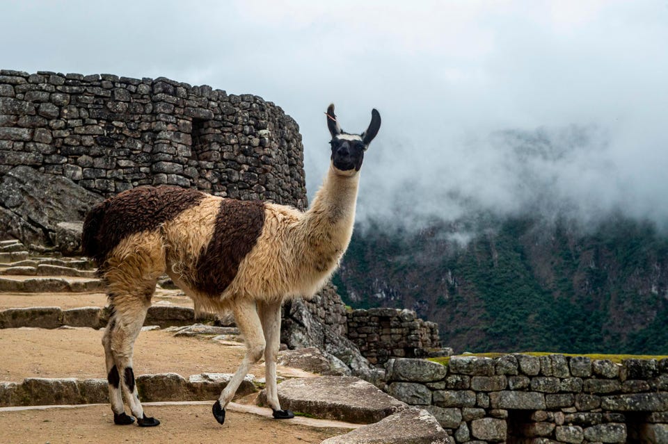 Best time to visit Peru 