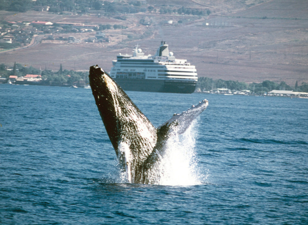 Cruise to Iceland and Mexico on HAL