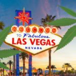 Las Vegas Marijuana Vacations