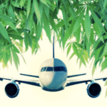 flying with Weed