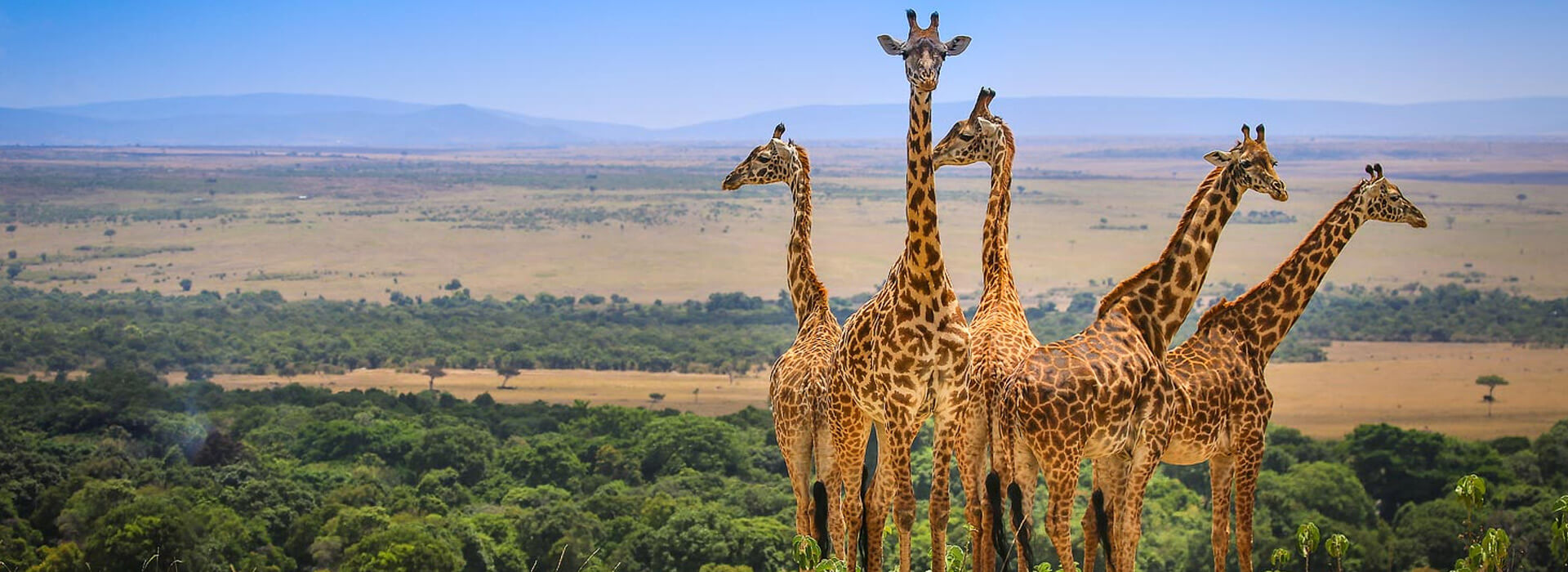 Masai Mara