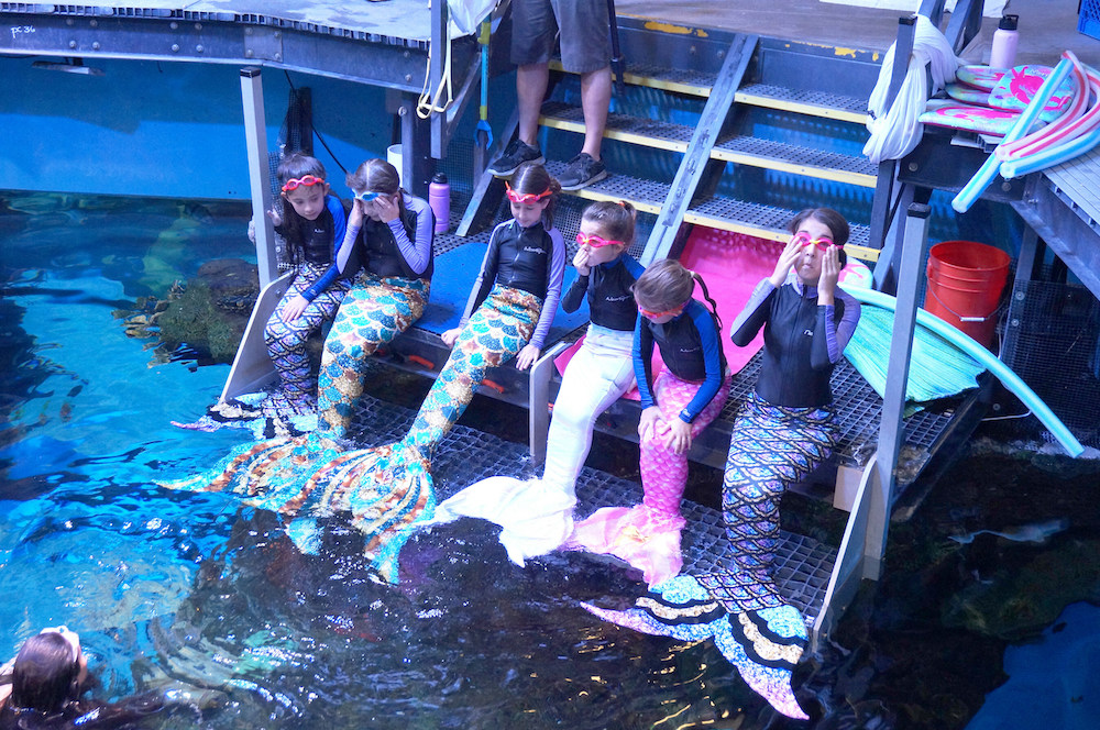 Las Vegas Attractions mermaid school