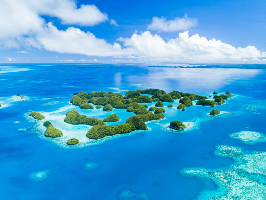 Dive in Palau