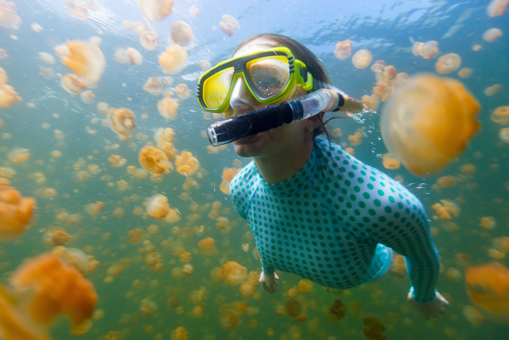 Dive in Palau