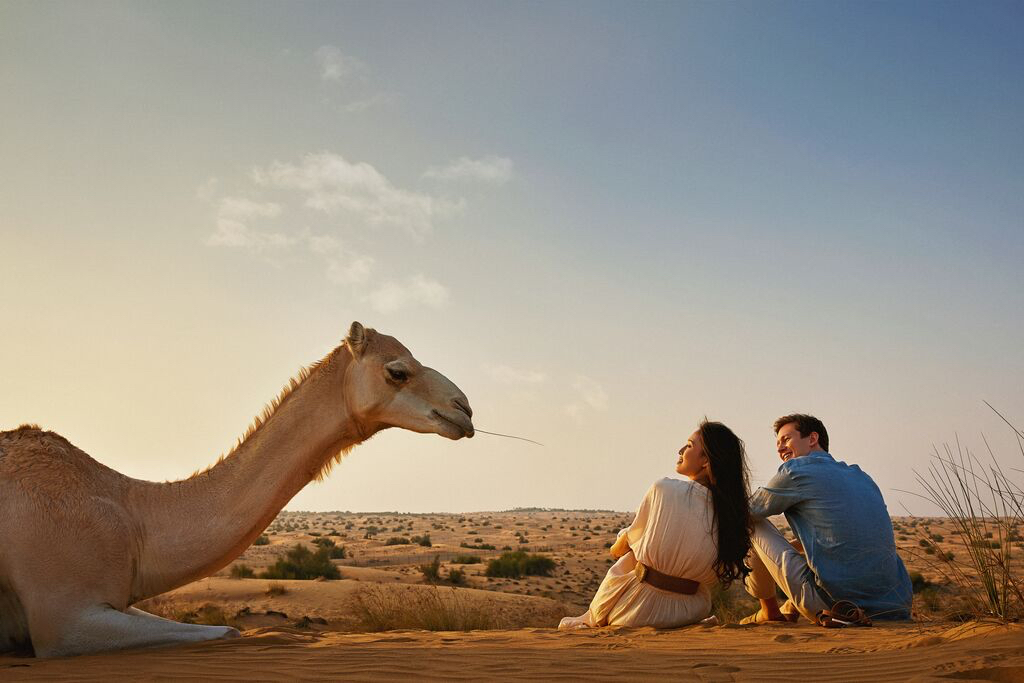 Dubai Connections Desert safari