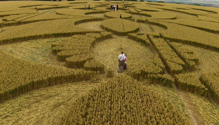 Crop Circles
