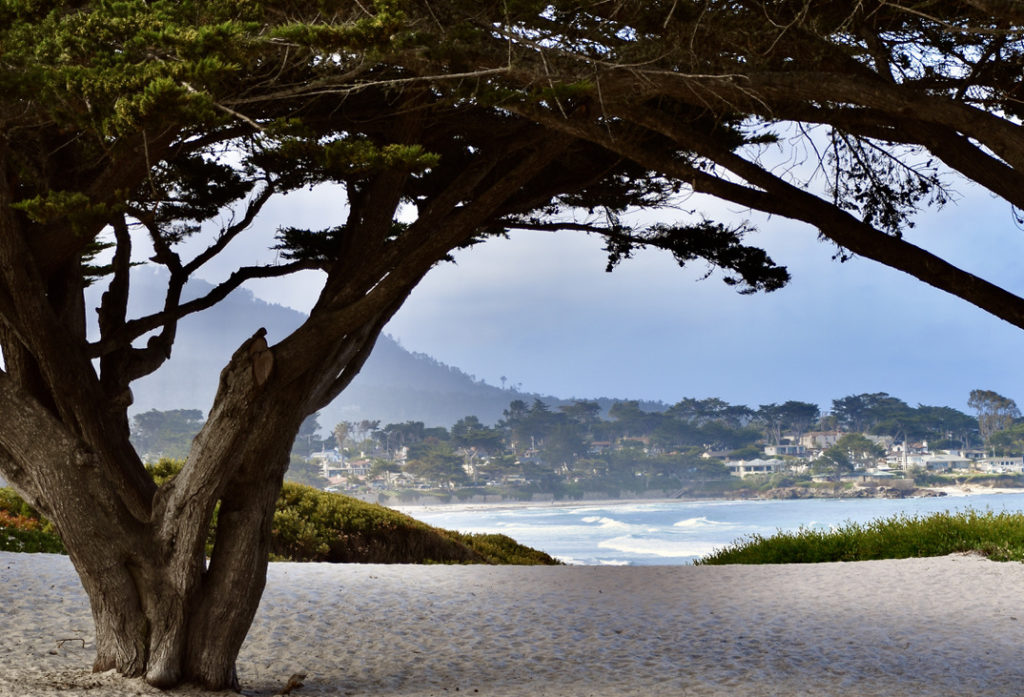 Best Places to Visit in California