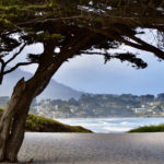 Best Places to Visit in California - Carmel by the Sea