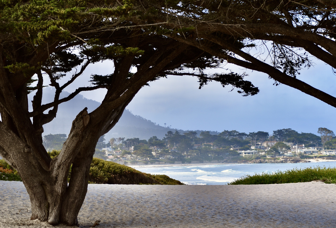 Best Places to Visit in California - Carmel by the Sea