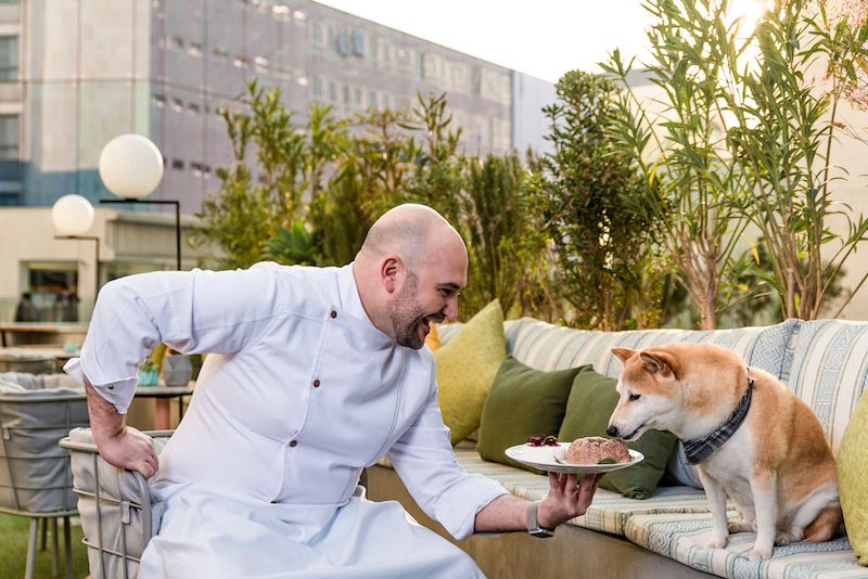 Dog Friendly hotels in Mexico City: Andaz