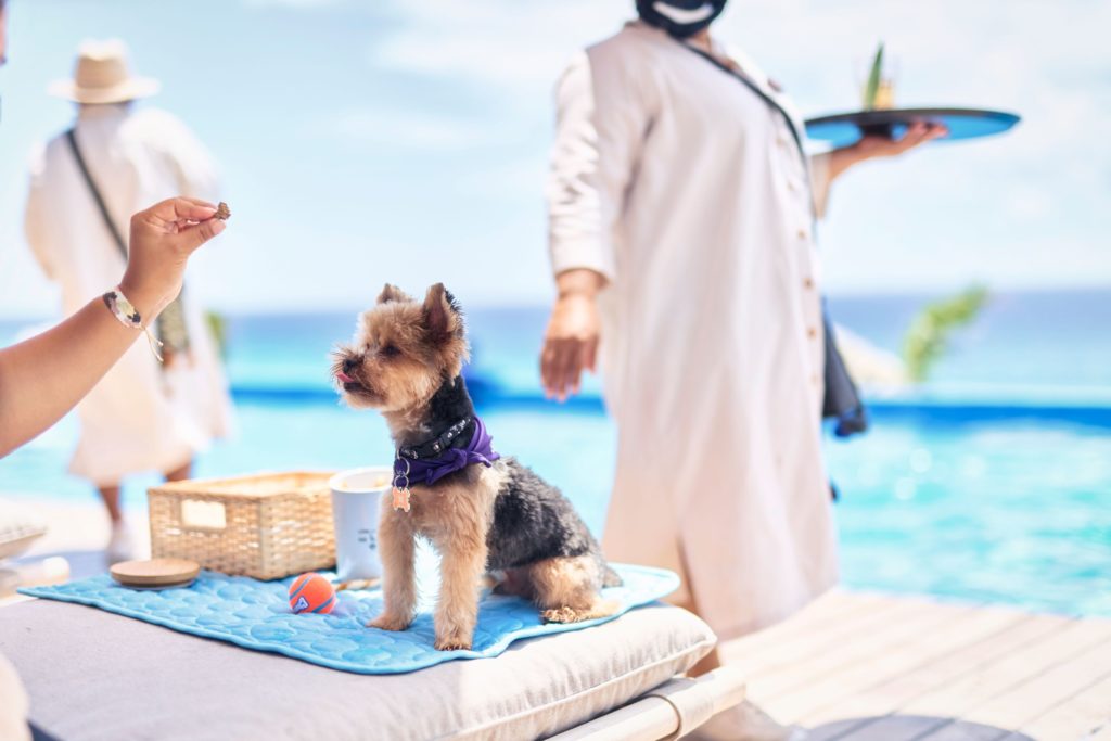 Dog Friendly hotels in Mexico, Xcaret
