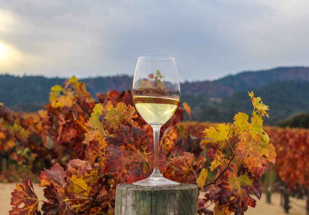 California Vacation Packages napa