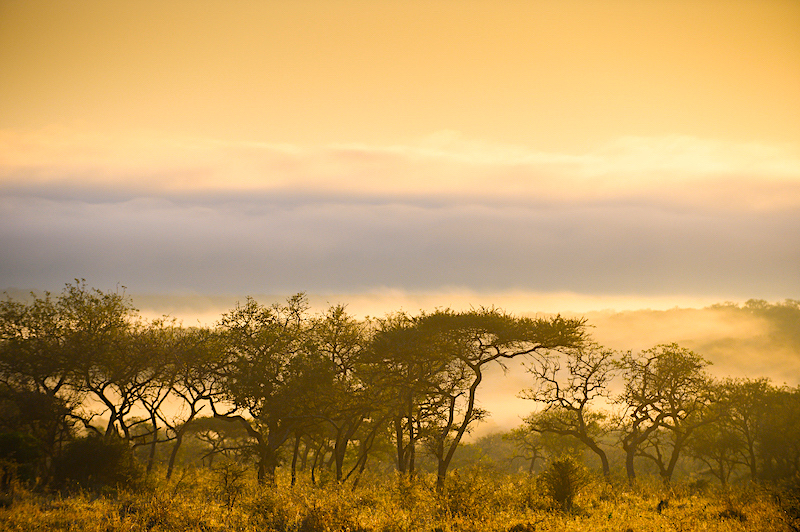 Club Med holidays and Safari Lodge in South Africa: Tinley 
