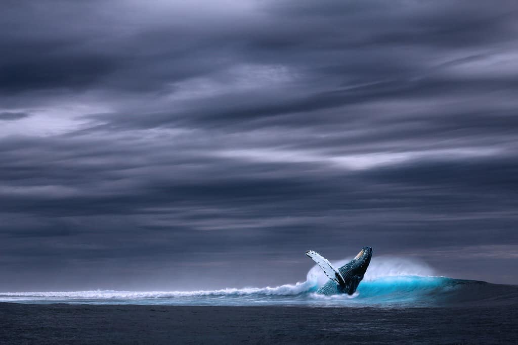 Best time to visit Iceland