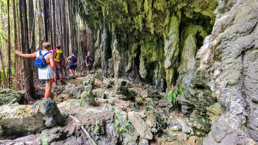 Glamping and eco adventure tours