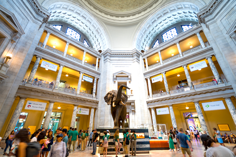 Smithsonian: Washington D.C. Film Sets Museum of Natural History