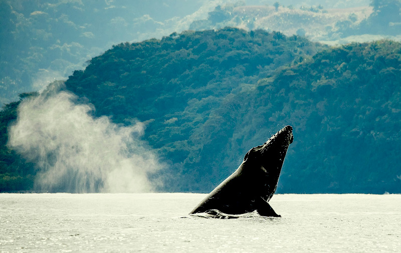Things to do in San Blas, Nayarit, Mexico