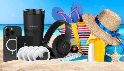 summer vacations 2024 in numbers