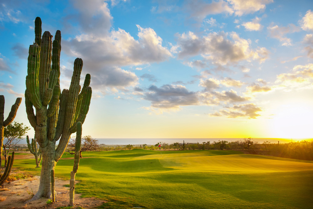 Los Cabos Golf