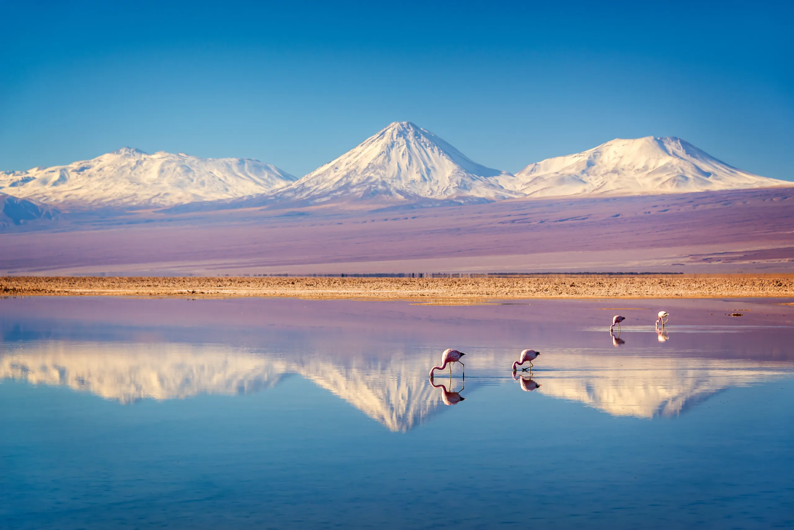 eco-travel trends