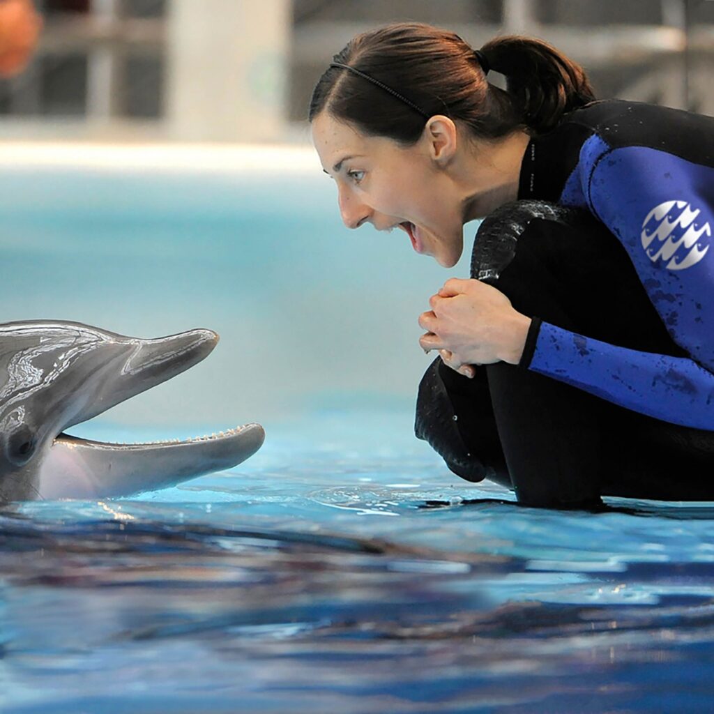 aquarium dolphin