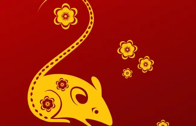 Year of the rat
