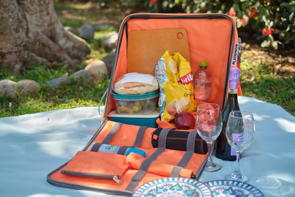 Travel bags: playamigo picnic