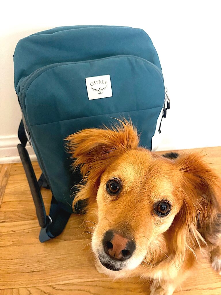 travel bags Osprey